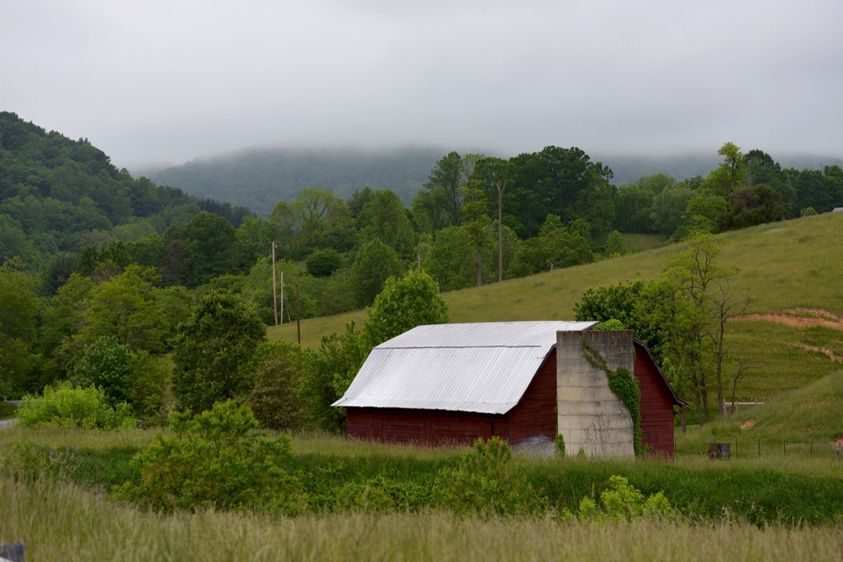 Stacks Image 11